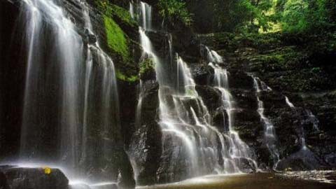 Parque Nacional Natural Los Katios